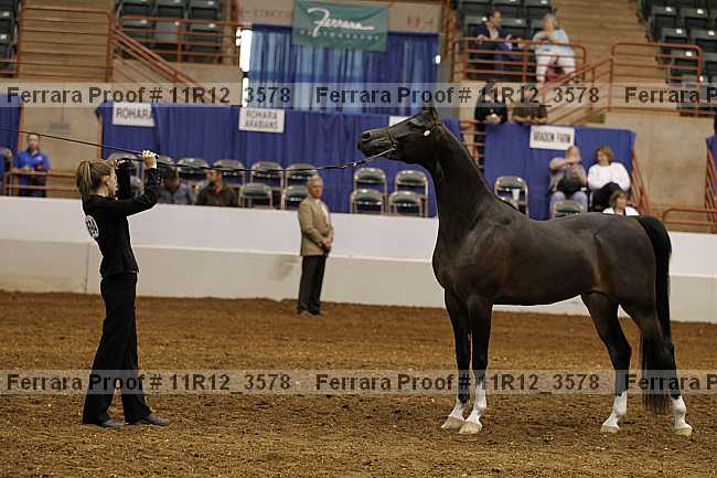 Proof Number 11r12_3578
