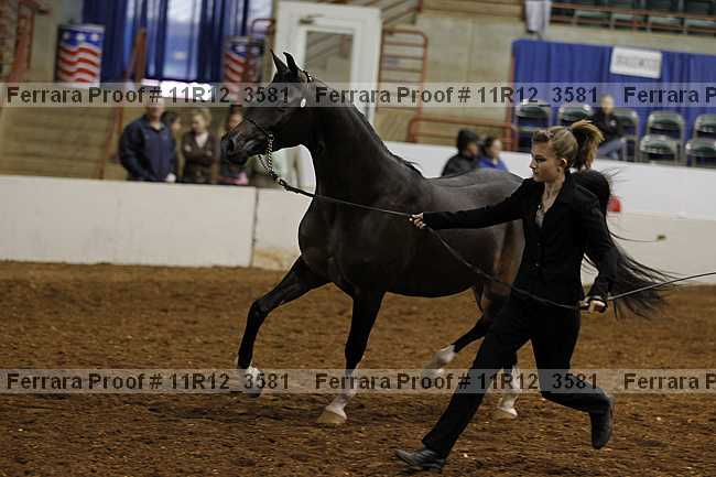 Proof Number 11r12_3581