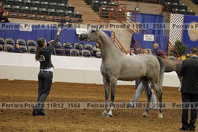 Proof Number 11r12_3584