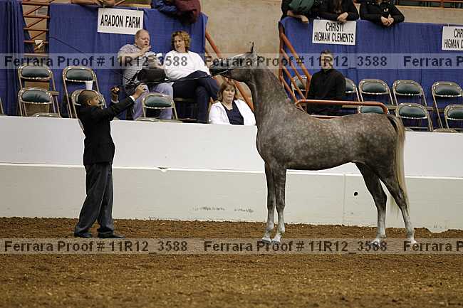 Proof Number 11r12_3588