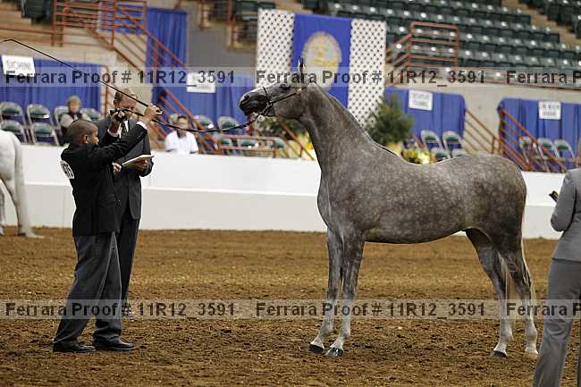 Proof Number 11r12_3591