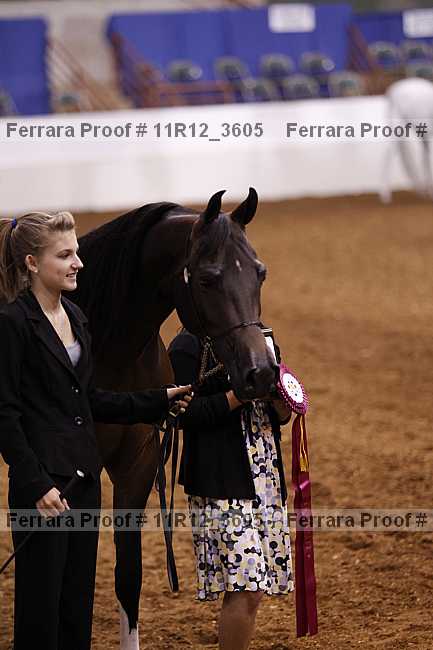 Proof Number 11r12_3605
