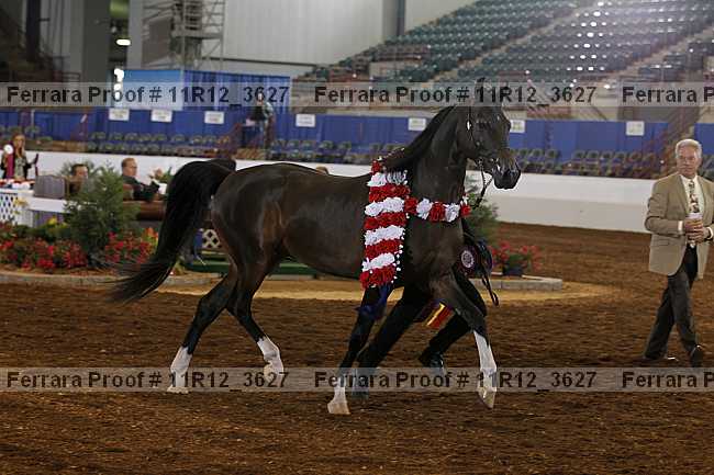 Proof Number 11r12_3627