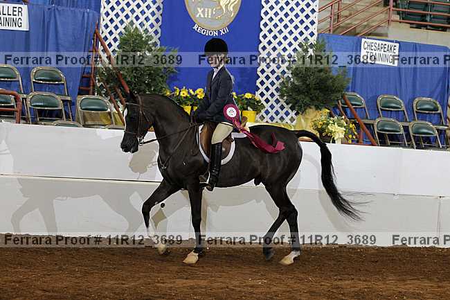Proof Number 11r12_3689