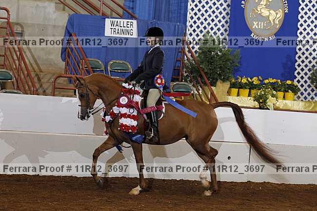 Proof Number 11r12_3697