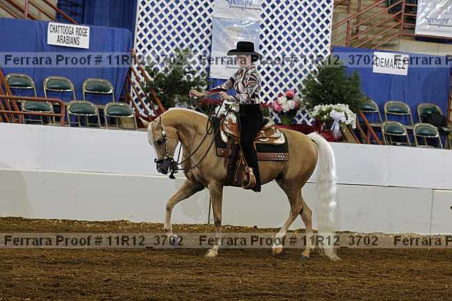 Proof Number 11r12_3702