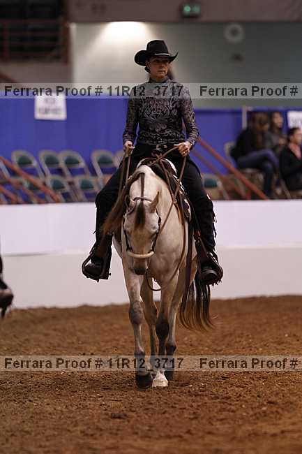 Proof Number 11r12_3717
