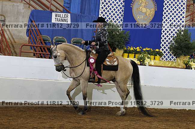 Proof Number 11r12_3729
