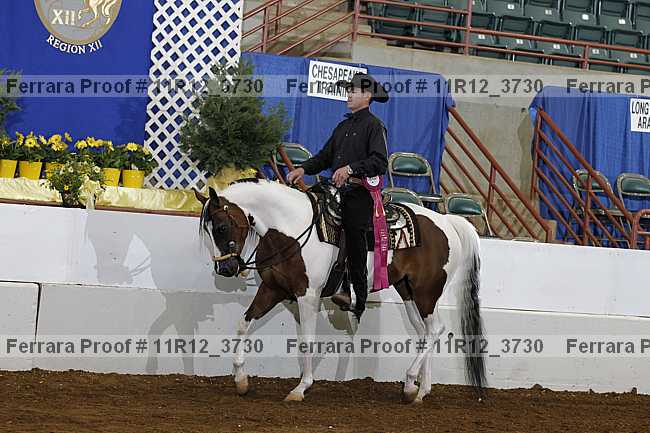 Proof Number 11r12_3730