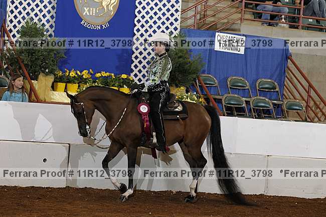 Proof Number 11r12_3798