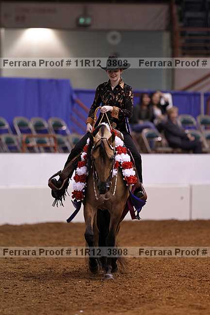 Proof Number 11r12_3808