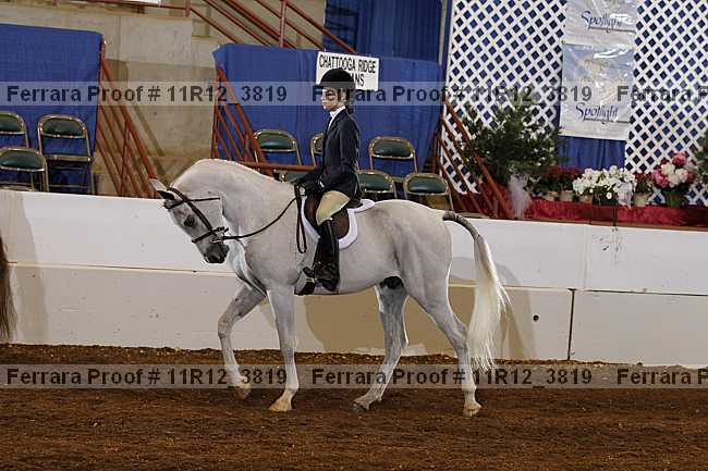 Proof Number 11r12_3819