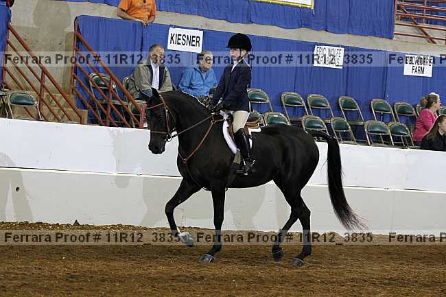 Proof Number 11r12_3835