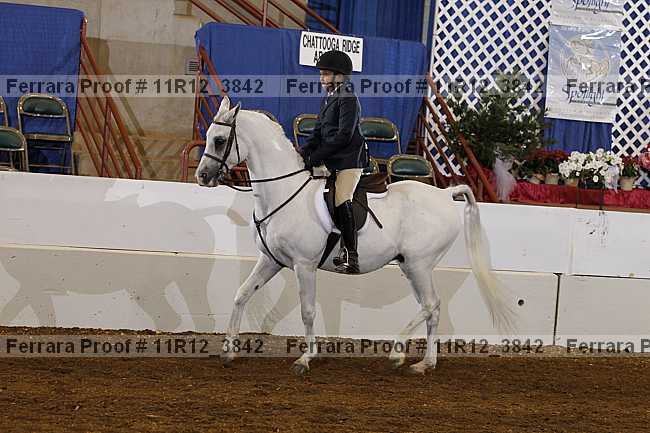 Proof Number 11r12_3842