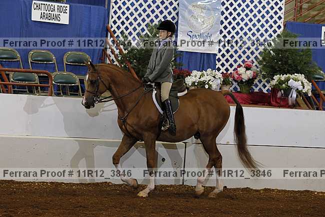 Proof Number 11r12_3846