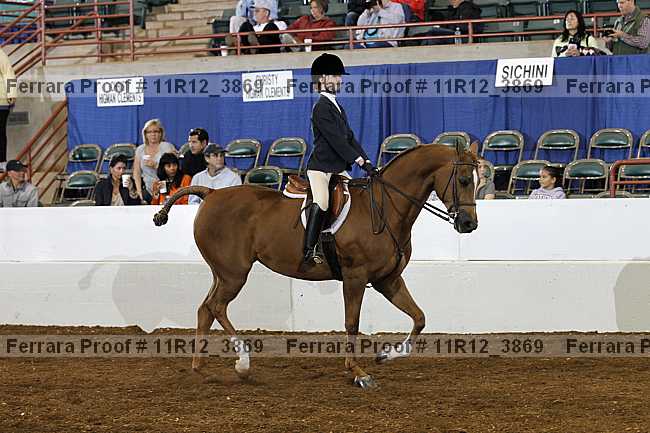 Proof Number 11r12_3869