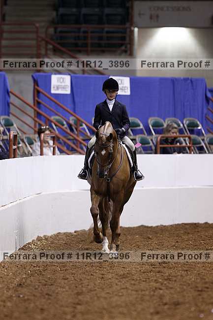 Proof Number 11r12_3896