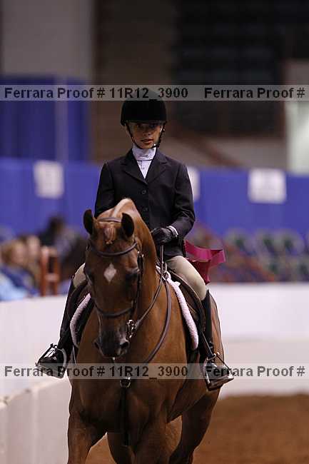 Proof Number 11r12_3900