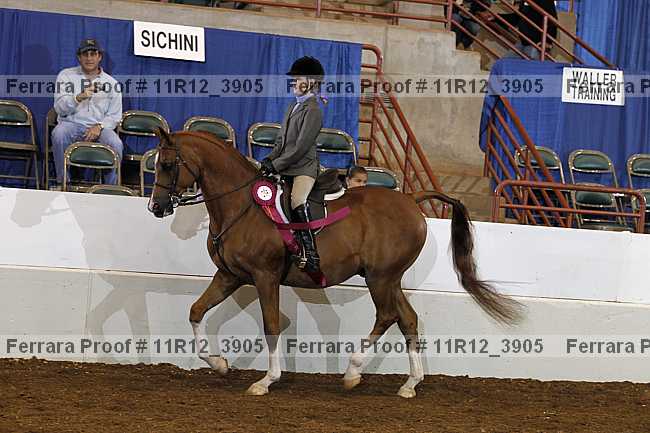 Proof Number 11r12_3905