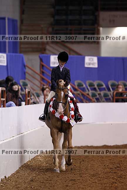 Proof Number 11r12_3907