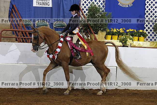 Proof Number 11r12_3908