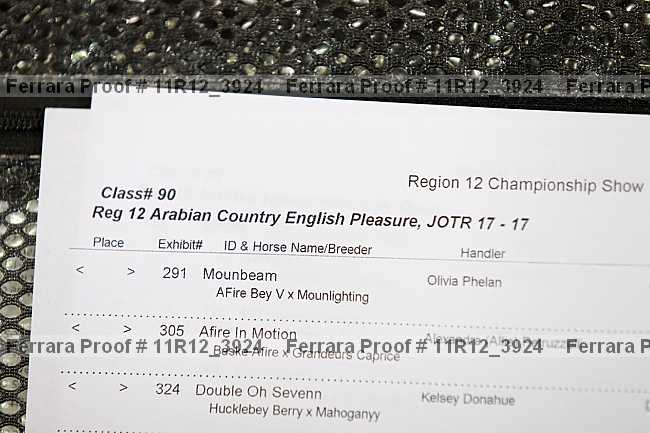 Proof Number 11r12_3924