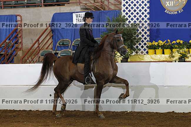 Proof Number 11r12_3926