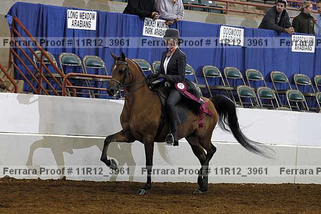 Proof Number 11r12_3961