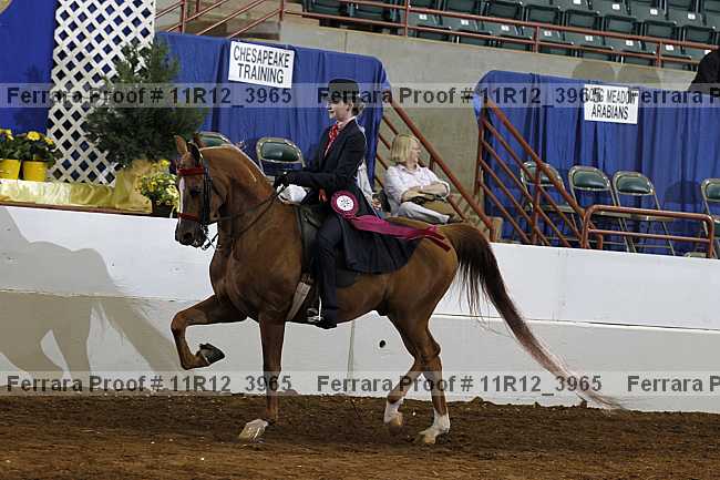 Proof Number 11r12_3965
