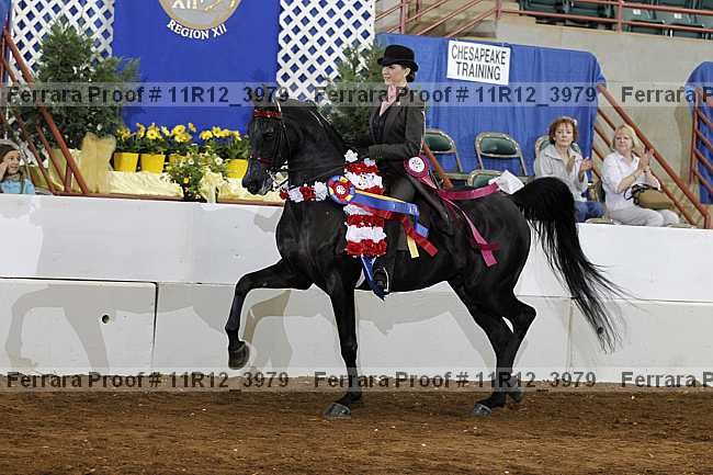 Proof Number 11r12_3979