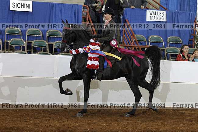 Proof Number 11r12_3981