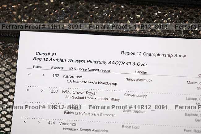 Proof Number 11r12_8091