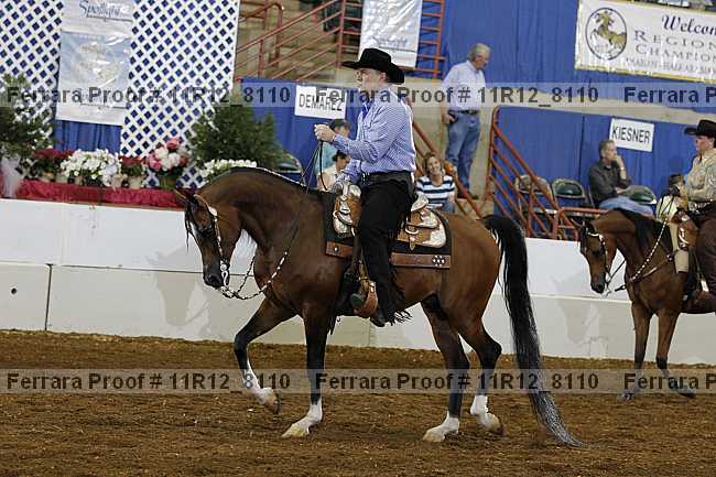 Proof Number 11r12_8110