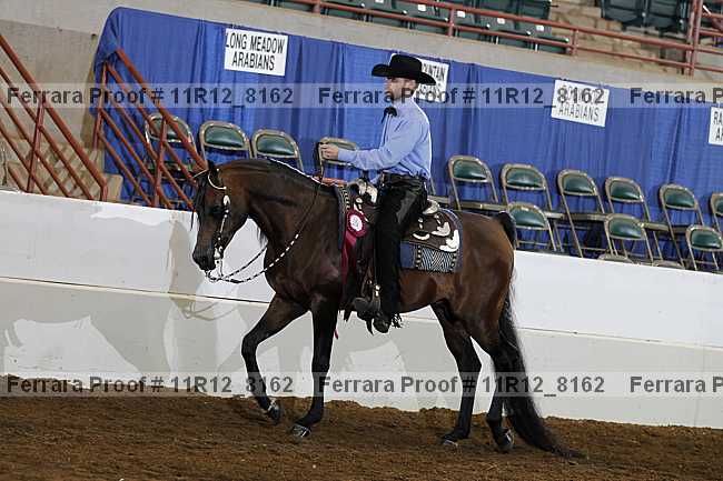 Proof Number 11r12_8162