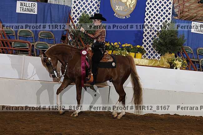 Proof Number 11r12_8167