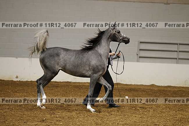 Proof Number 11r12_4067