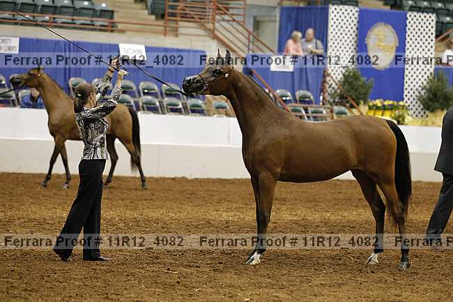 Proof Number 11r12_4082