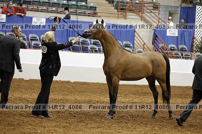 Proof Number 11r12_4086