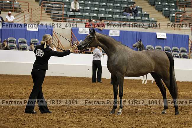 Proof Number 11r12_4091