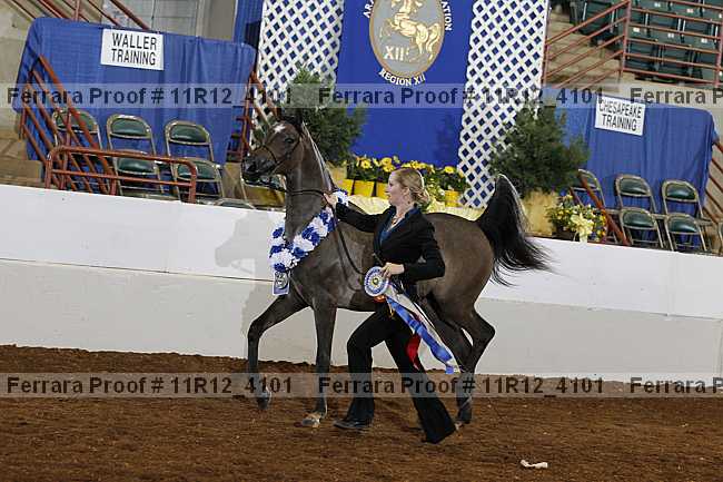Proof Number 11r12_4101