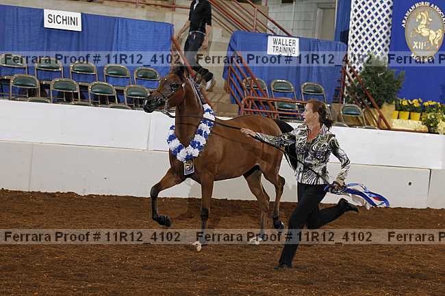 Proof Number 11r12_4102