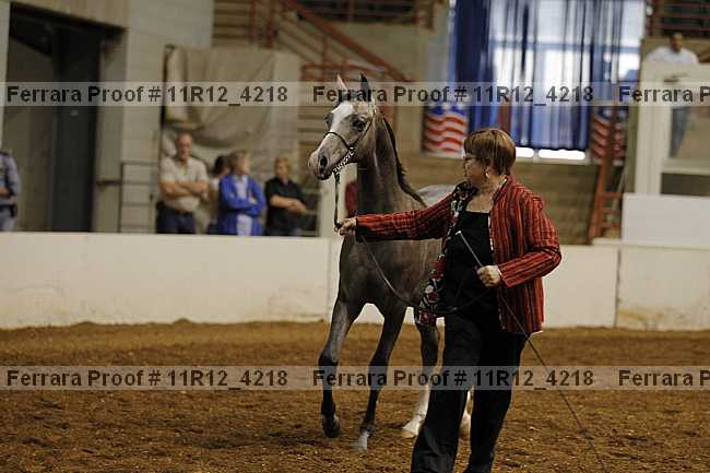 Proof Number 11r12_4218