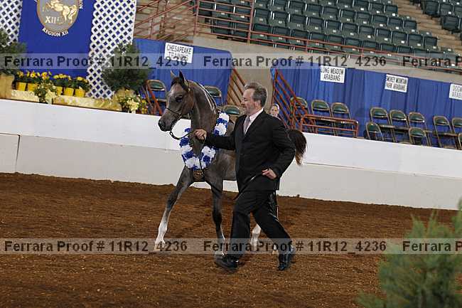Proof Number 11r12_4236