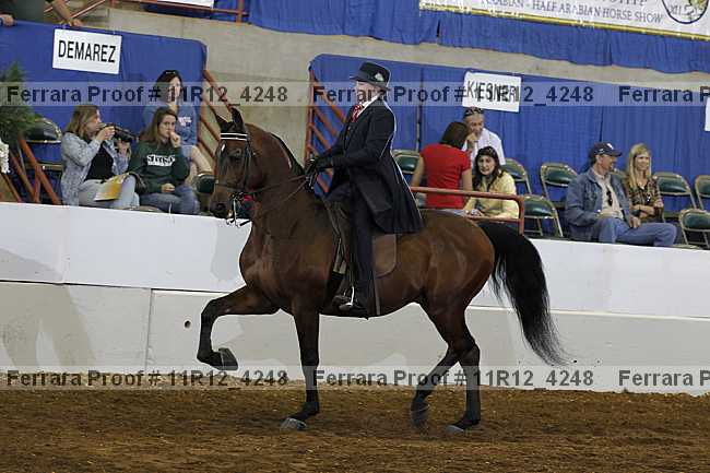 Proof Number 11r12_4248