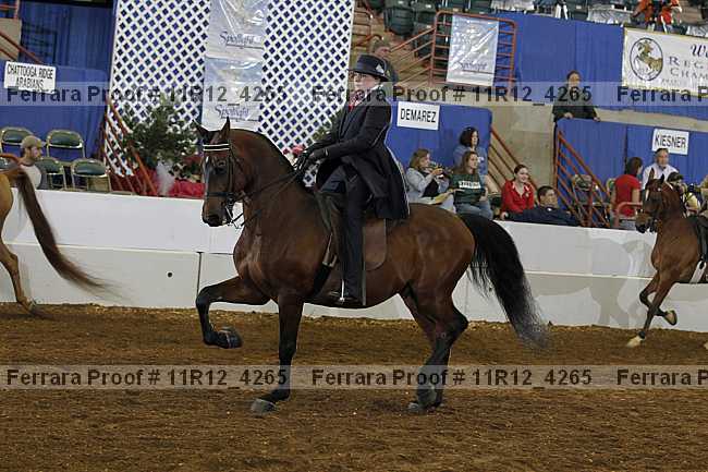 Proof Number 11r12_4265