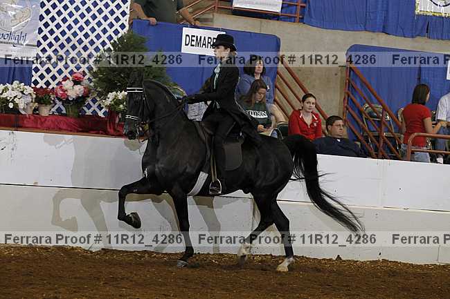 Proof Number 11r12_4286