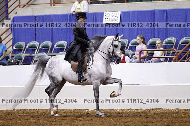 Proof Number 11r12_4304