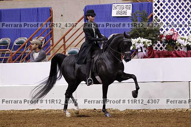Proof Number 11r12_4307