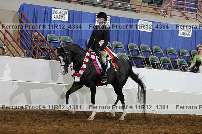 Proof Number 11r12_4384