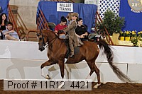 11r12_4421 thumbnail